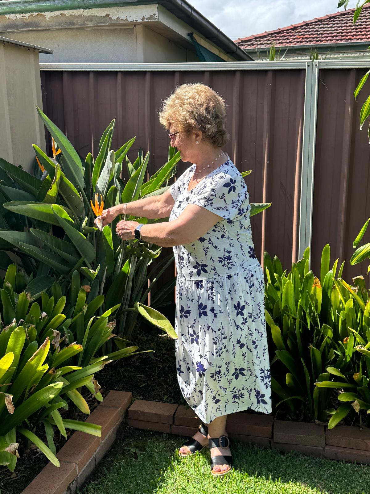 Blue Petal Drop Waist Dress with Short Sleeve