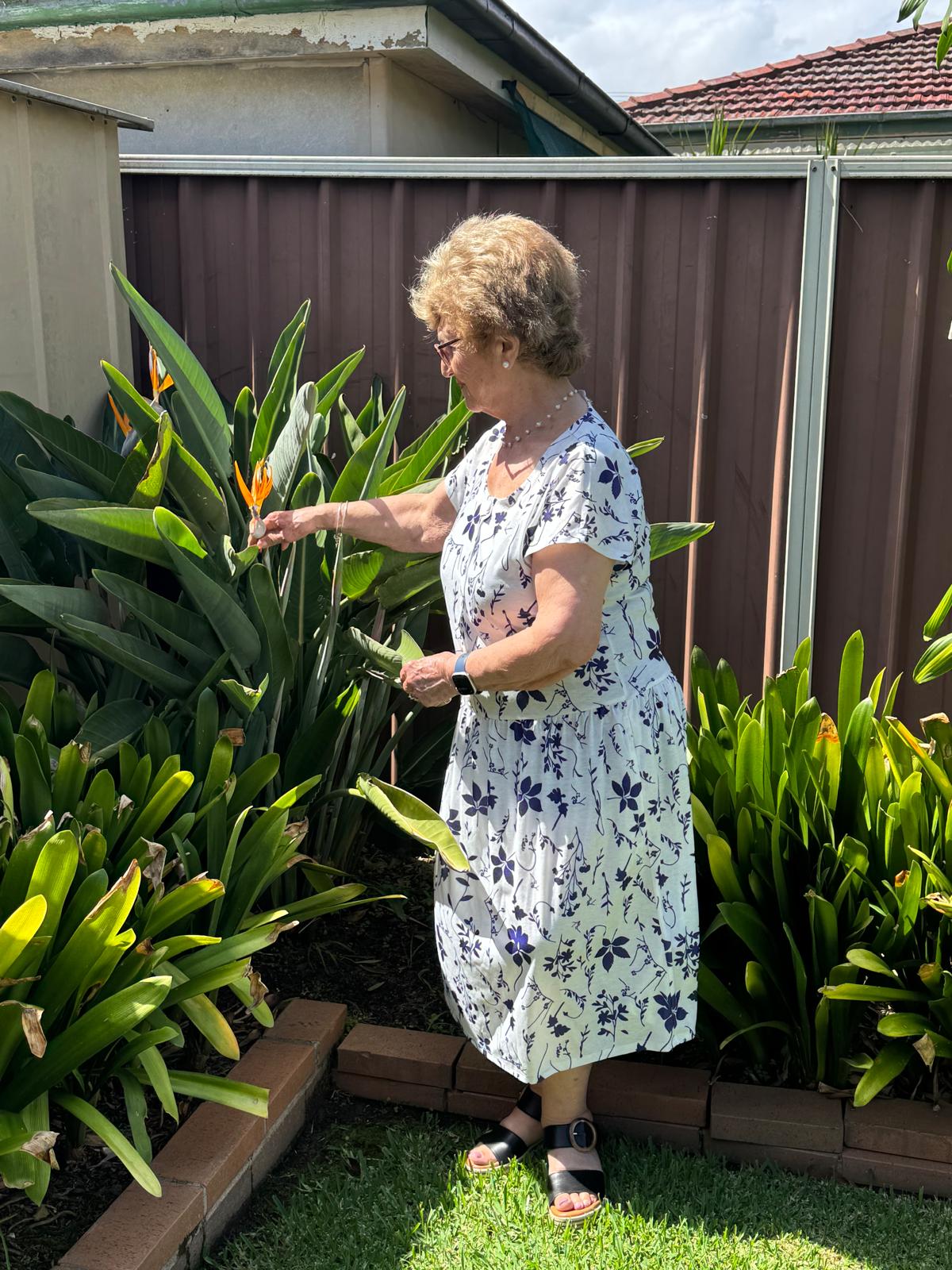 Blue Petal Drop Waist Dress with Short Sleeve