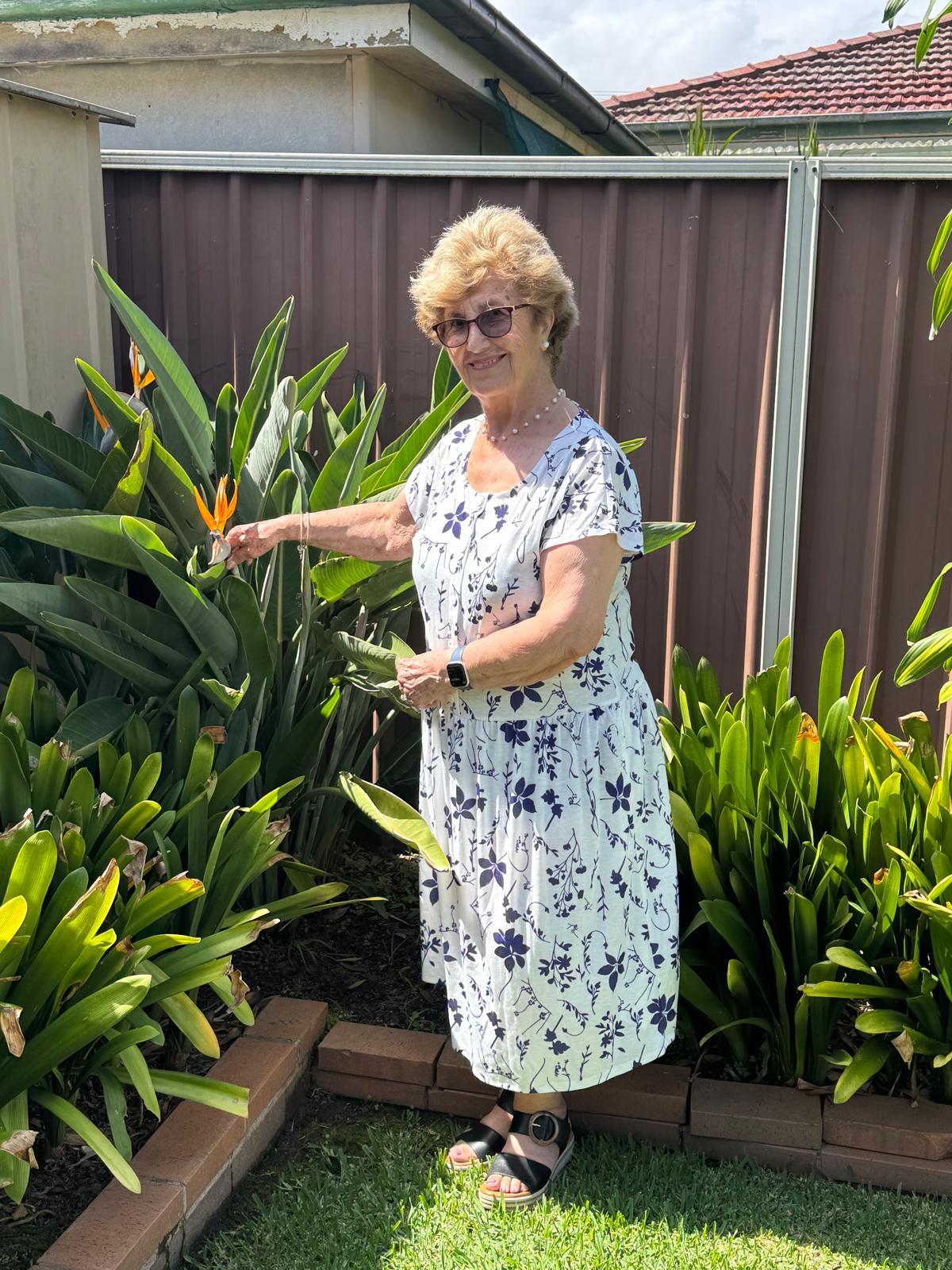 Blue Petal Drop Waist Dress with Short Sleeve